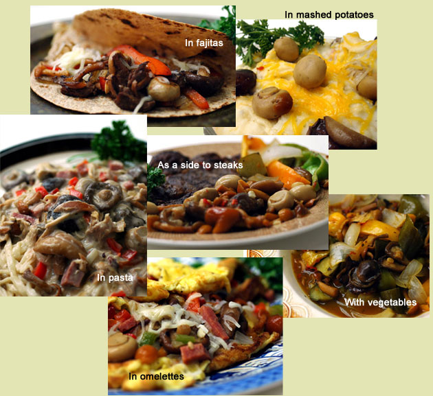 Four Mushroom Salad Dishes