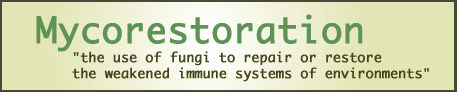 definition_mycorestoration (20K)