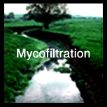 myco_filtration (29K)