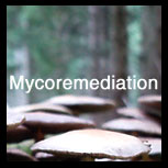myco_remediation (26K)