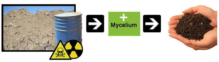 mycoremediation