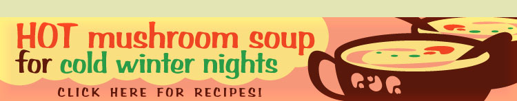 HOT mushroom soup for cold winter nights!