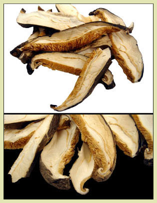 shiitake